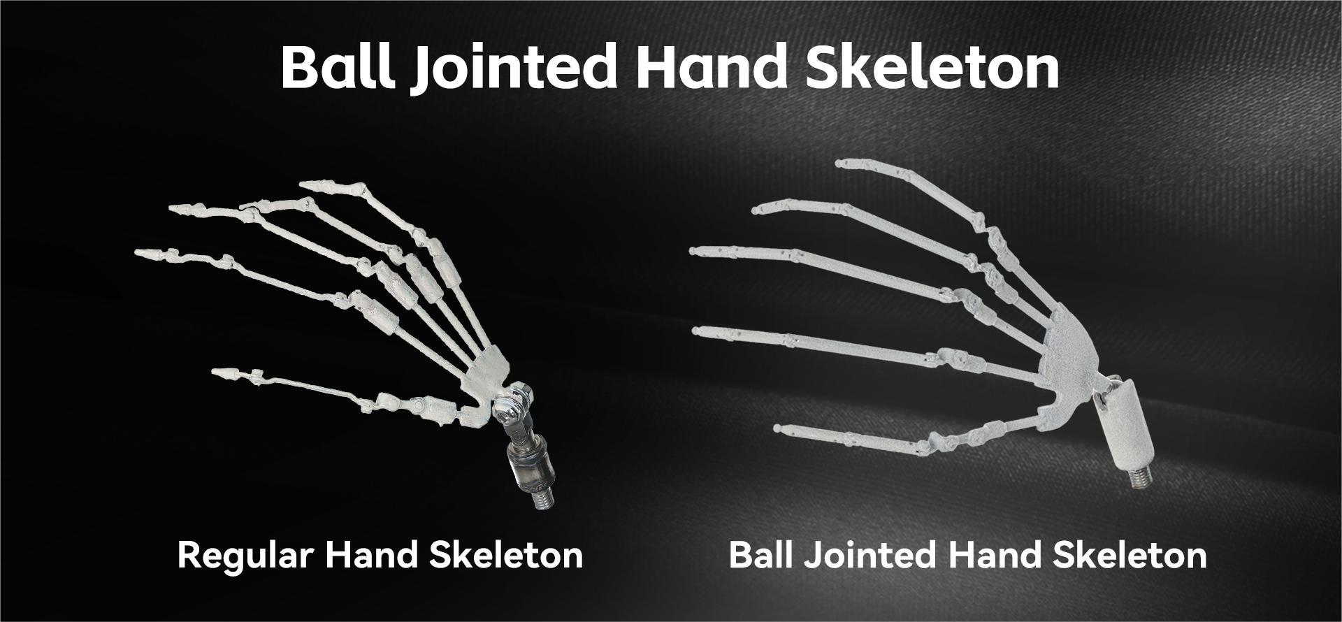 ball jointed hand skeleton